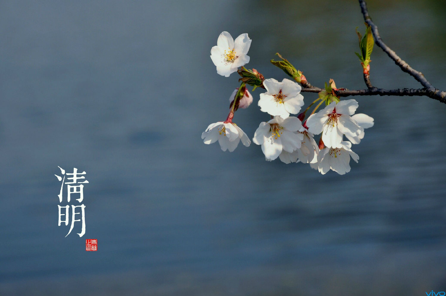 清明.jpg