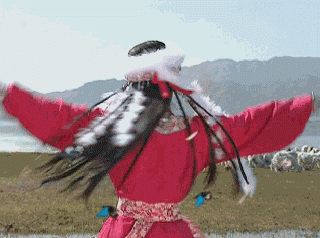香妃.gif