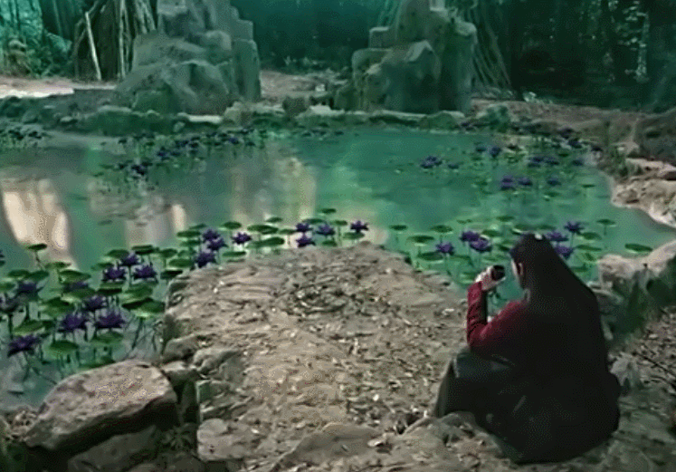 10.gif