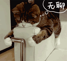 gs4HigoyPOWOgyvvZZXRs1u8C7dG5n2u.gif