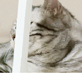 wmaWxbWgMyystM7PiRMClLkL6yKAx1sH.gif