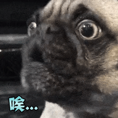 1M1m6kyqG6J4jO4slKxFk5Aiyav4lEGR.gif