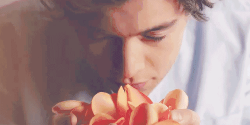 2.gif