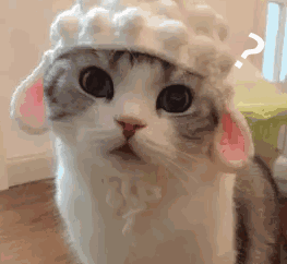 1.gif